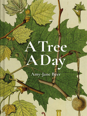 cover image of A Tree a Day